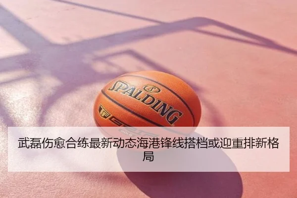 武磊伤愈合练最新动态海港锋线搭档或迎重排新格局